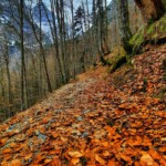 Stangensteig, der Weg über die hohe Brücke zur Höllentalangerhütte